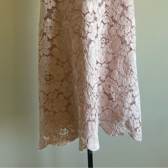 BCBGMaxAzria Diane Lace Mini Dress Pastel Pink Oversized With Slip Size Medium - Picture 8 of 16